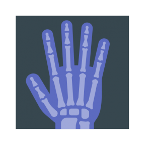 Radiography